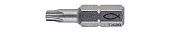 Бита FPB T 20 PROFI Bit W 10 (TX20x25 мм (компл. 10 шт.)), сталь