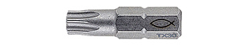 Бита FPB T 10 PROFI Bit W 2 (TX10x25 мм (компл. 2 шт.)), сталь