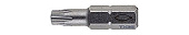 Бита FPB T 25 PROFI Bit W 10 (TX25x25 мм (компл. 10 шт.)), сталь